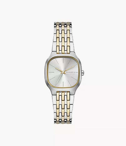 Skagen SKW3160 Silver Dial Watch for Women