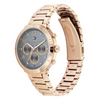 Tommy Hilfiger 1782489 Multifunctional Men's Watch