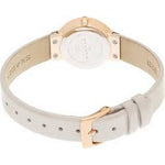 Skagen 456SRLT Women's Silver Dial Brown Leather Watch