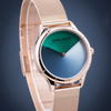 Anne Klein AK/3776MTRG Blue Dial Quartz Analog Women's Watch.