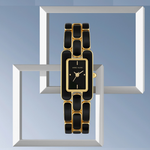 Anne Klein AK/4068GPBK Black Dial Analog Quartz Women's Watch