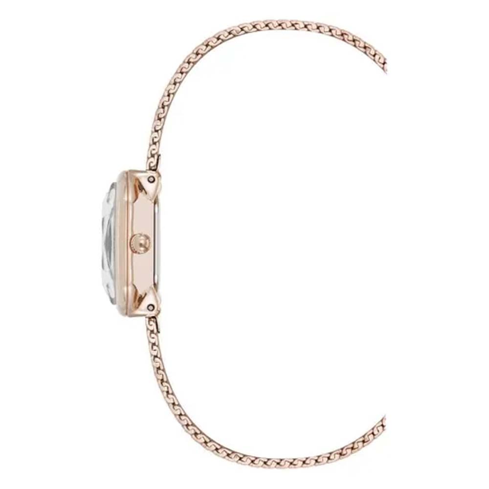 Anne Klein Rose Gold Collection women's watch AK5248RGRG