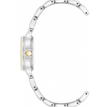 Anne Klein AK-5333SVTT Silver Dial Analog Quartz Women's Watch