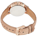 Fossil Abilene Analog Silver Dial Women's Watch CH3016 Fossil