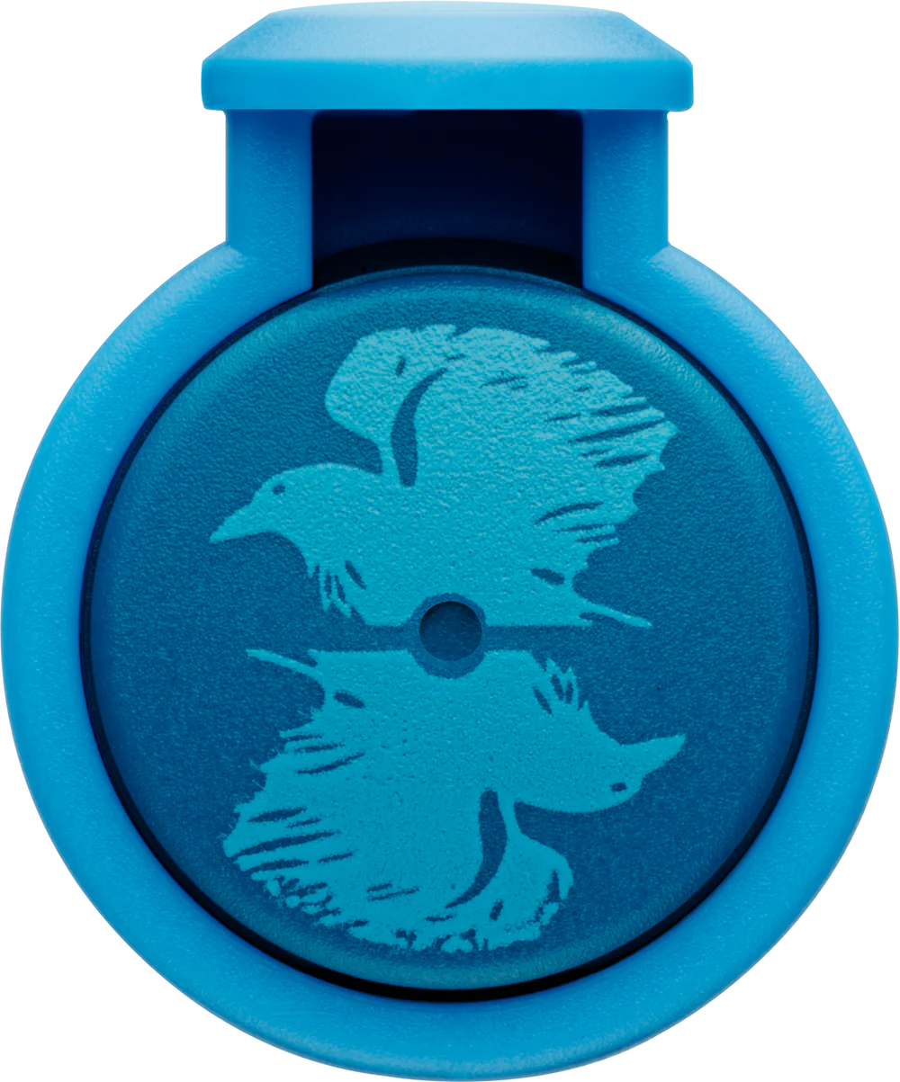 0H8 LAMY nexx Harry Potter Fountain Pen Ravenclaw