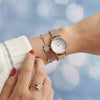 OLIVIA BURTON OB16IQ03 Snow Globe Dial & Rose Gold Women's Mesh Watch