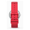 SKAGEN SKW1120 Aaren Kulor Three Hand Multi Silicone Men's Watch Strap Set